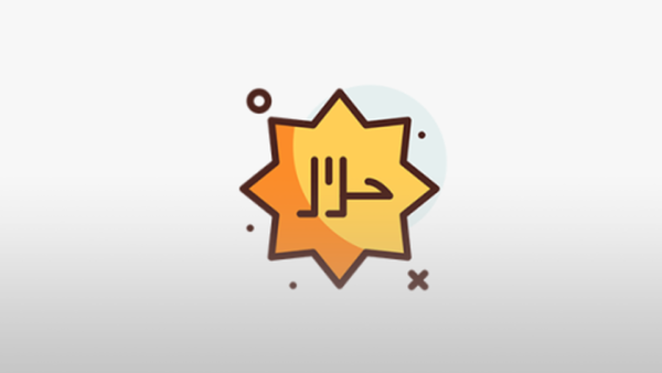الرخصة المهنية اللغة العربية 1 (المعيار من 8 إلى 17)