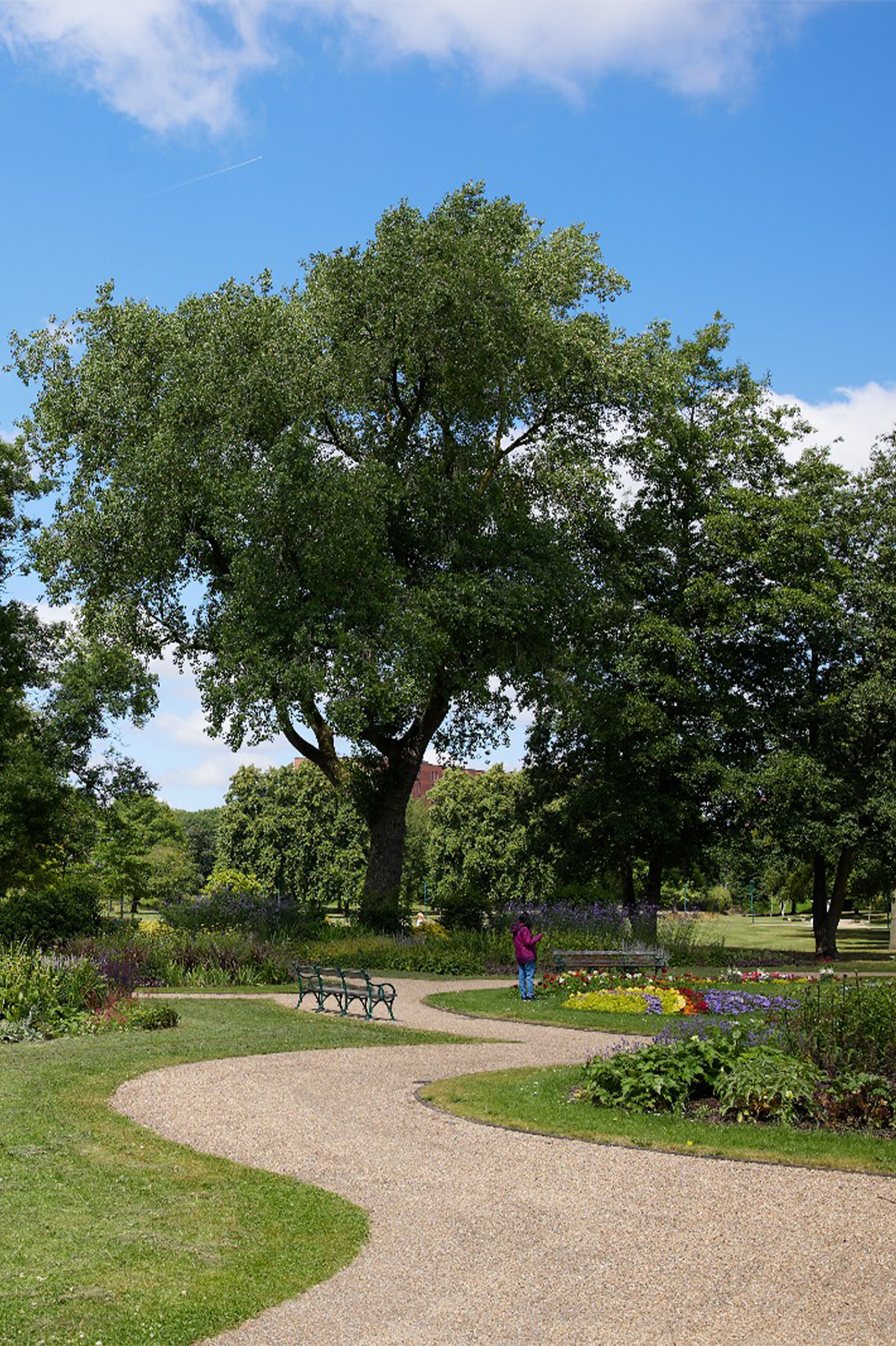 مساحات خضراء